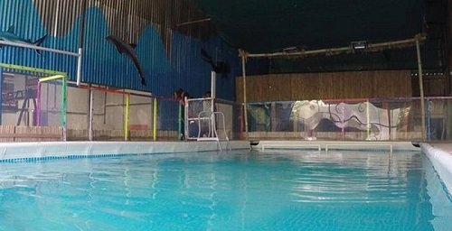 Swim classes