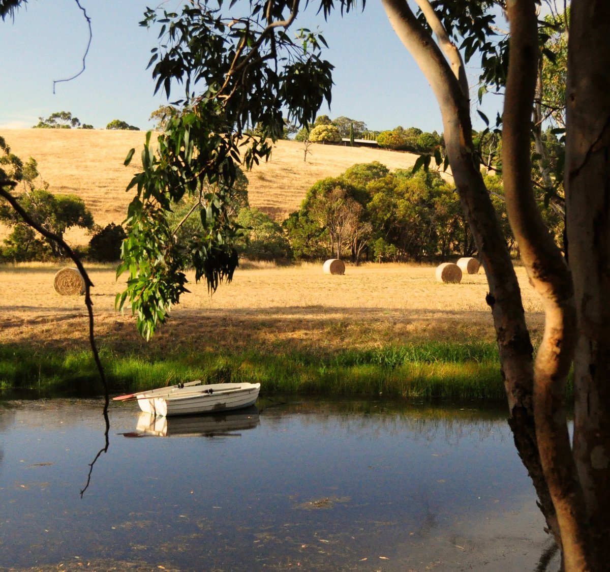 FLEURIEU HILLS VINEYARD (2024) All You Need to Know BEFORE You Go (with ...