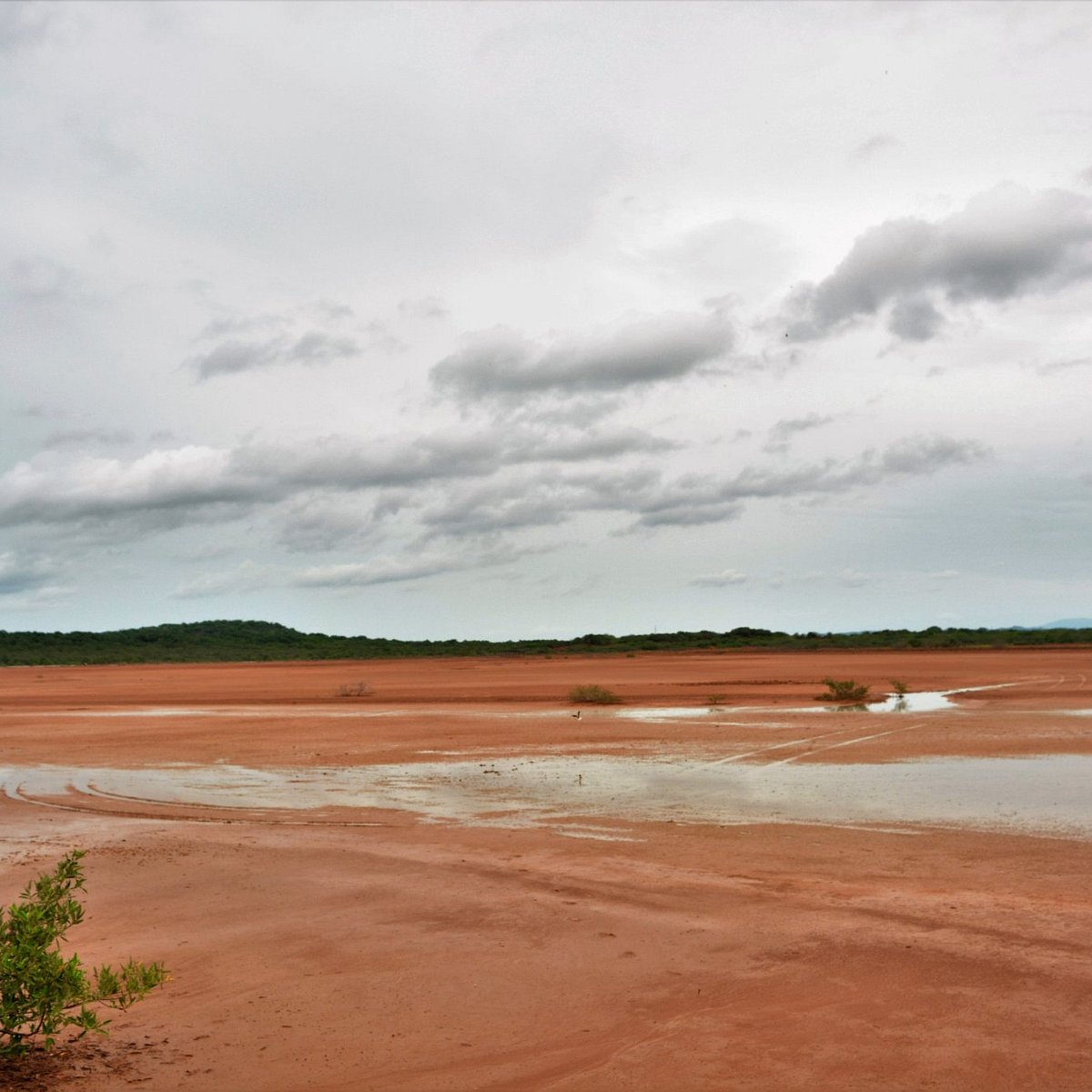 Sarigua National Park Chitre 2022 Lo Que Se Debe Saber Antes De