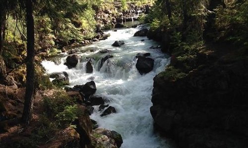 View of the Rogue River 7/2/16. Taken from the foot bridge looking north toward the Natural Brid
