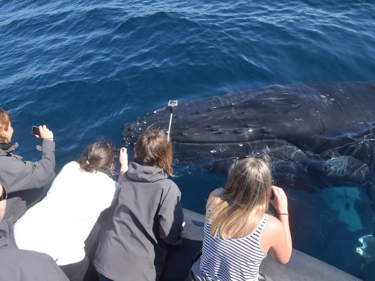 Manly Ocean Adventures - All You Need to Know BEFORE You Go (2024)