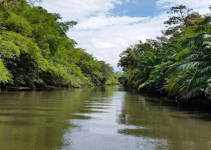 This river and jungle are like out of a dream!
