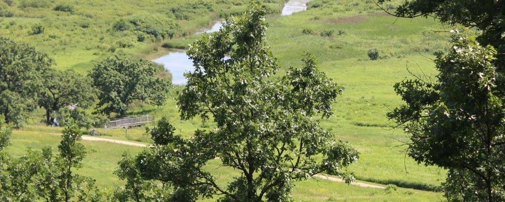 Pheasant Branch Creek Conservancy