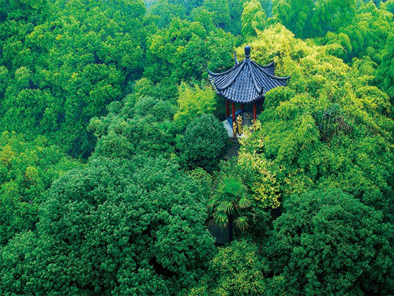 Hotel photo 6 of Shangri-La Hangzhou.