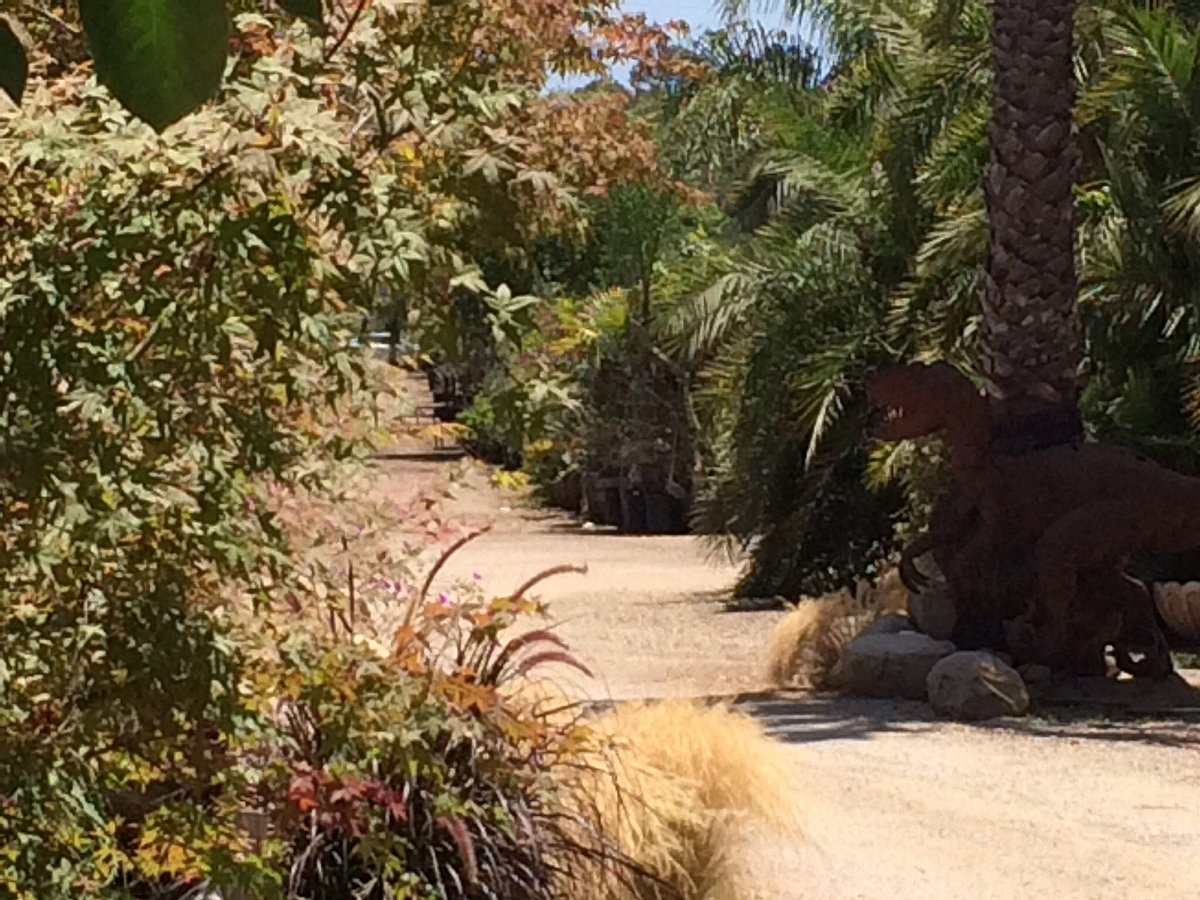 carpinteria nursery tour