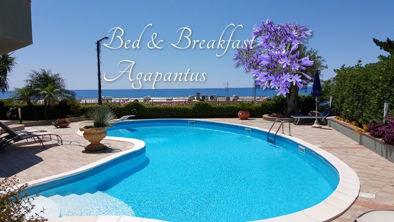 BED AND BREAKFAST AGAPANTUS - Prices & B&B Reviews (Diamante, Italy)