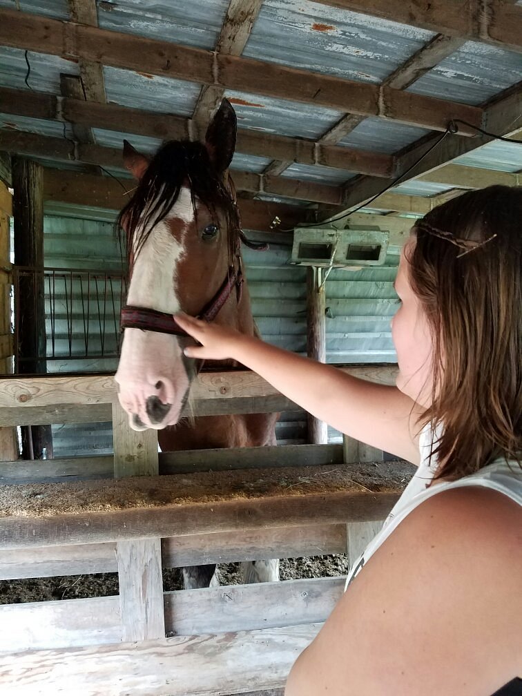 Funny Farm Petting Zoo (Eldon) - All You Need to Know BEFORE You Go