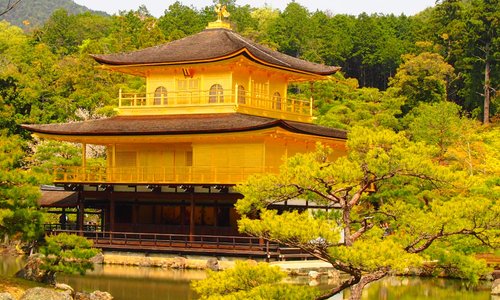 年日本京都的旅遊景點 旅遊指南 行程 Tripadvisor