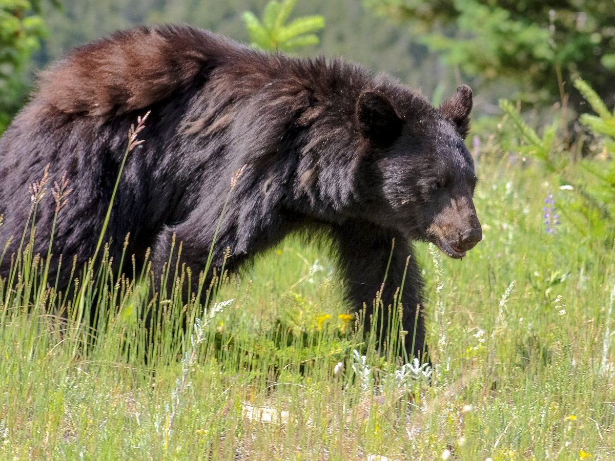 Canmore River Adventures - All You Need to Know BEFORE You Go (2024)