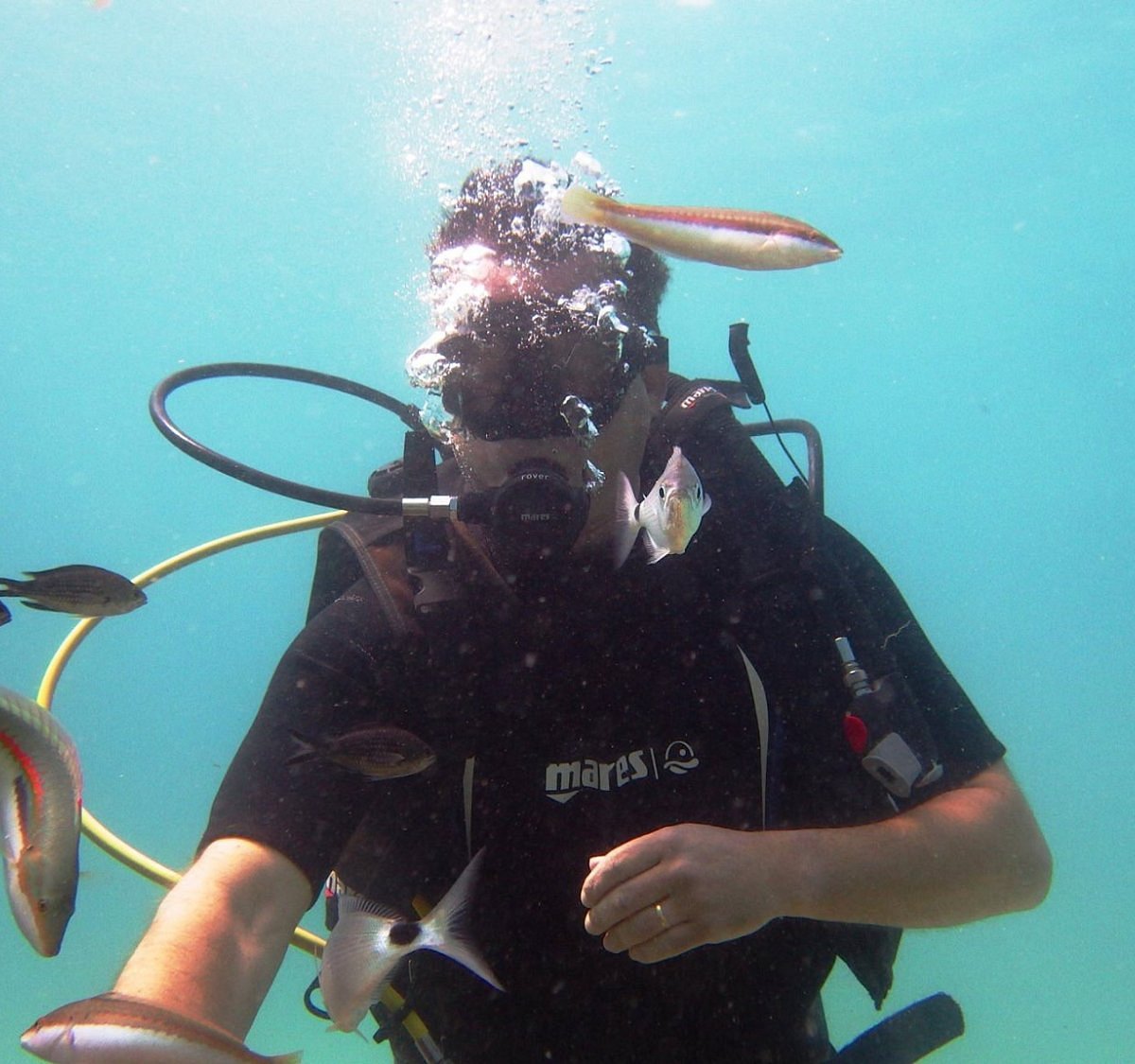 60Pieces Diving Underwater Adventure Scuba Outdoor Sport