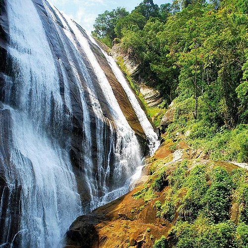 Guided Fishing Trip for 3 People in São Paulo, Brazil