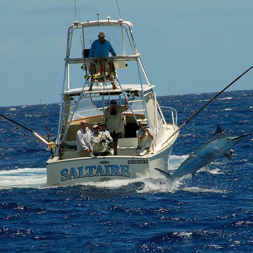 THE 10 BEST Port Douglas Fishing Charters & Tours (Updated 2024)