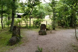 客室 & スイート