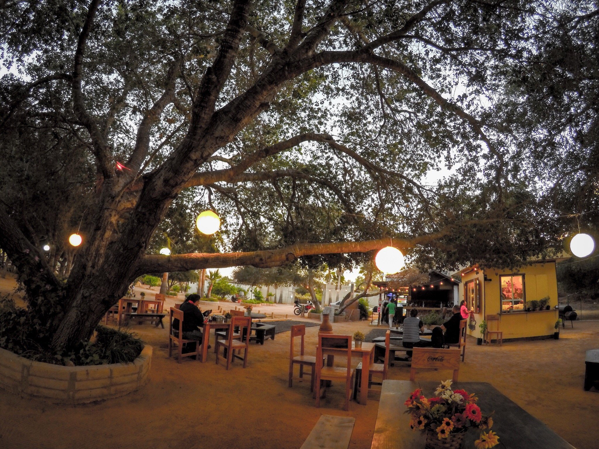 AL FORNO BUTCHERIA, Ensenada - Avenida Ruiz Pasillo Central 230 - Restaurant Reviews, Photos & Phone Number - Tripadvisor