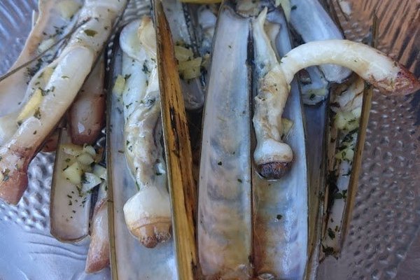 Navajitas