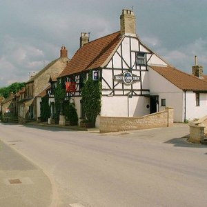 The Blue Cow