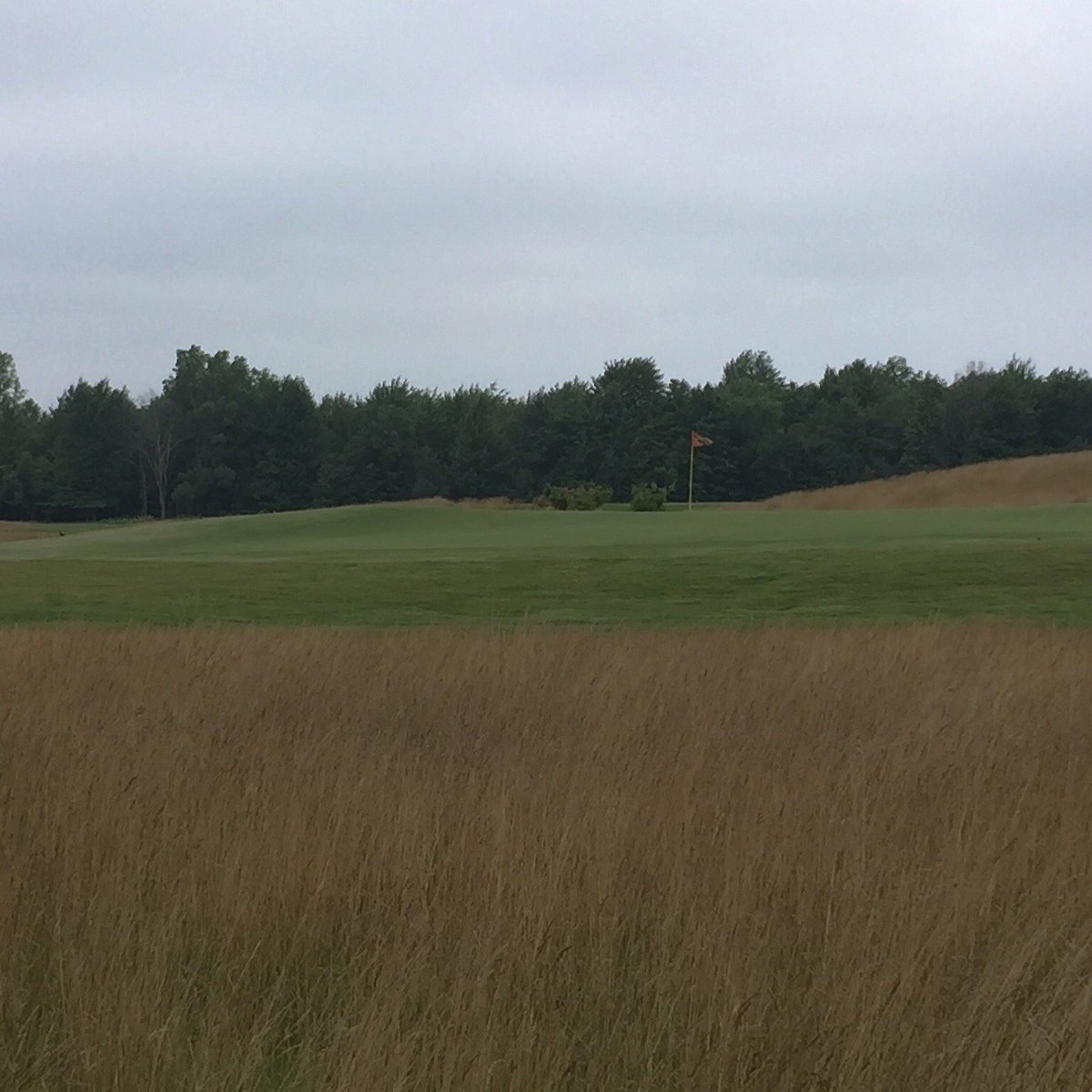 BEECHES GOLF CLUB (South Haven) All You Need to Know BEFORE You Go