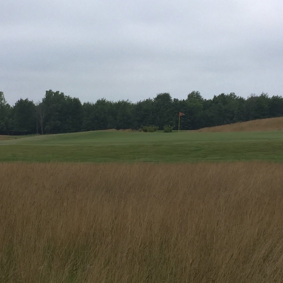 BEECHES GOLF CLUB (South Haven) All You Need to Know BEFORE You Go