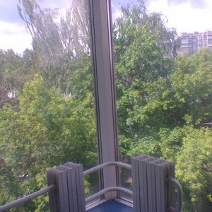 жителям комнат с видом во двор пости повезло: много деревьев