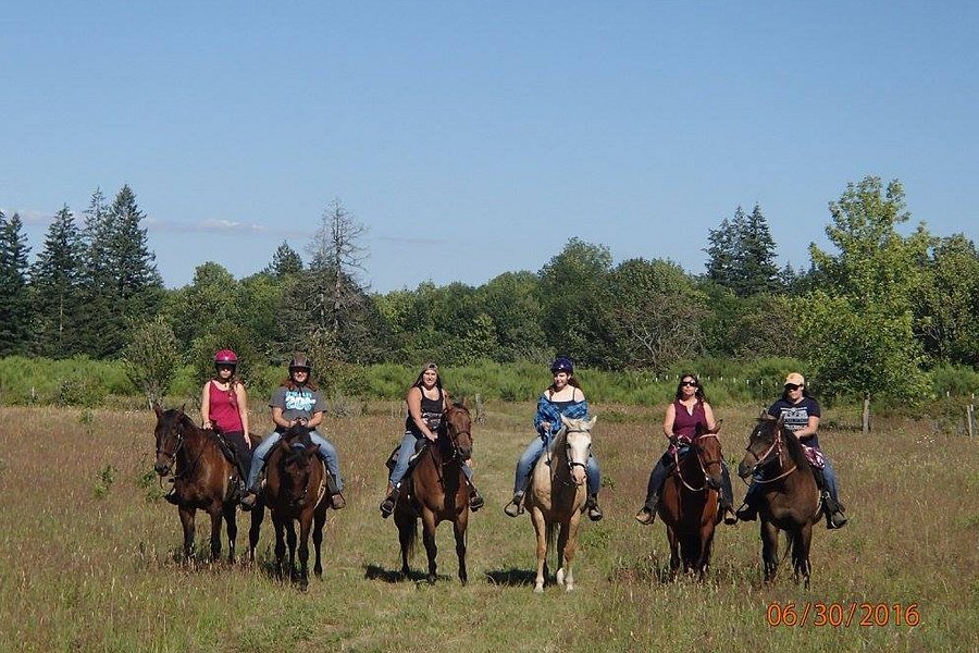 Ocean Trails Riding Stables image