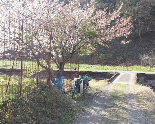 綾部市でおすすめの公園 自然 トリップアドバイザー