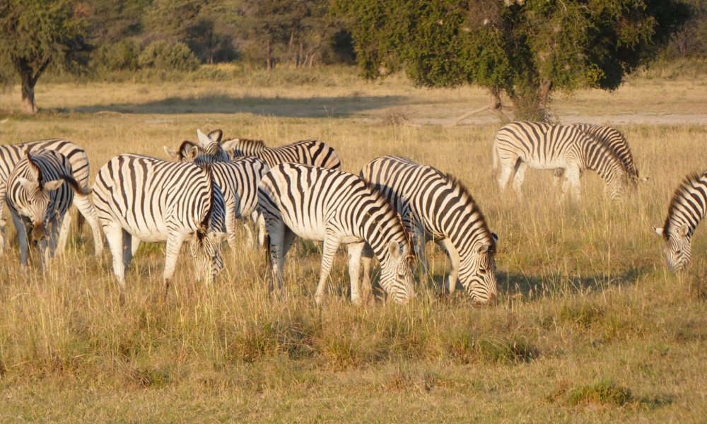 Serowe 2021: Best of Serowe, Botswana Tourism - Tripadvisor