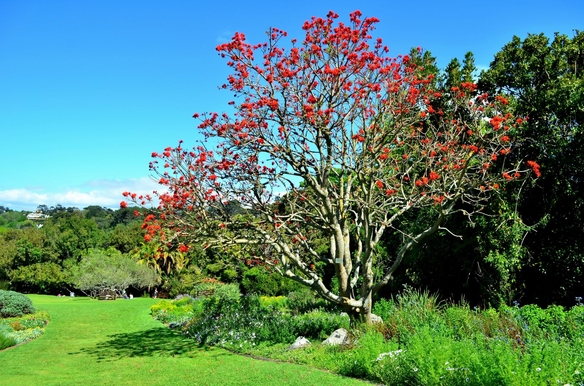 THE 10 BEST South Africa Gardens (Updated 2024) - Tripadvisor