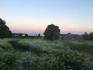 Номера и люксы