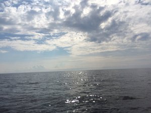 Фото от гостей