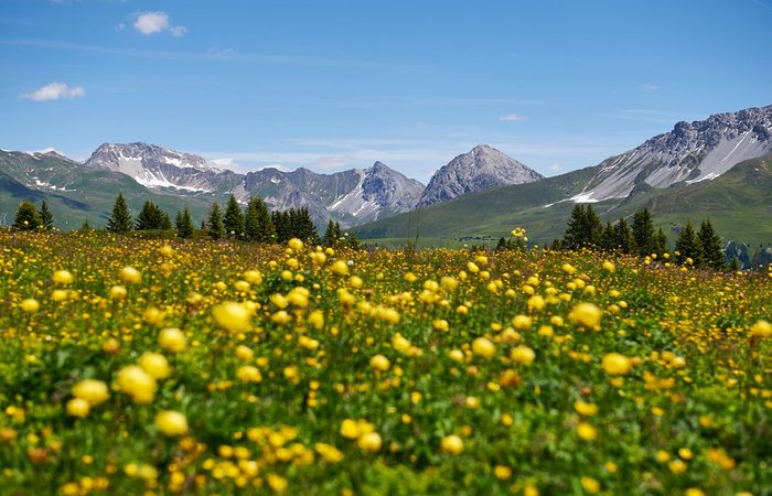 Arosa - Arosa added a new photo.