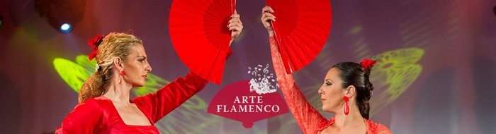 Imagen 10 de Arte Flamenco Barcelona