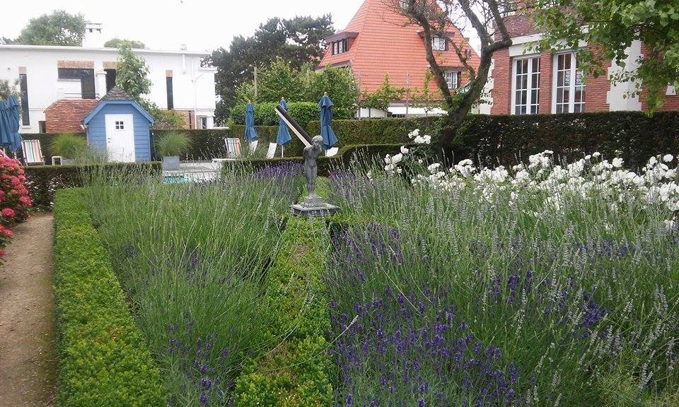 Romantik B&B Zonnehuis Pool: Pictures & Reviews - Tripadvisor