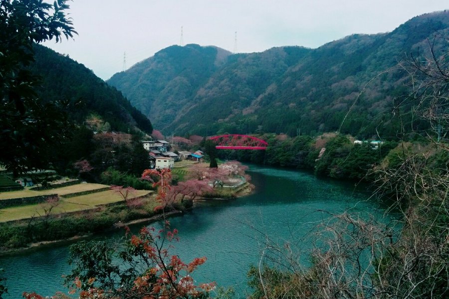 池田屋旅館 口コミ 宿泊予約 トリップアドバイザー