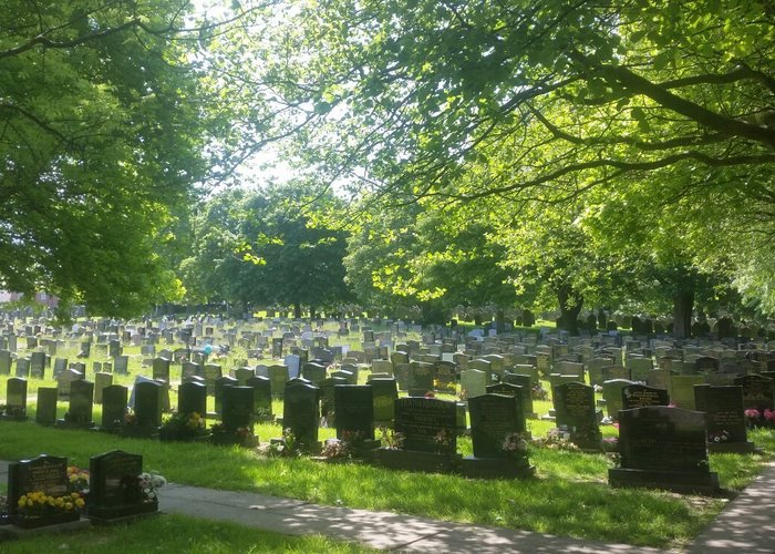 Church's Grounds