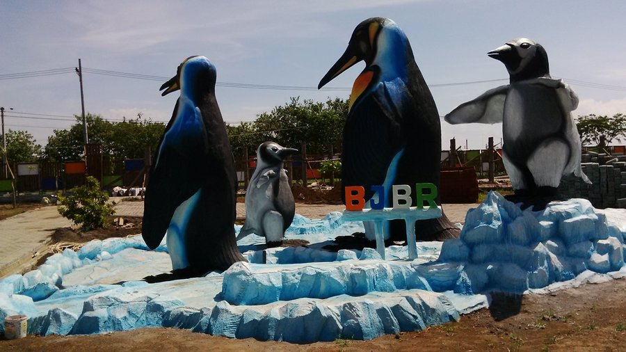 burung pinguin bjbr