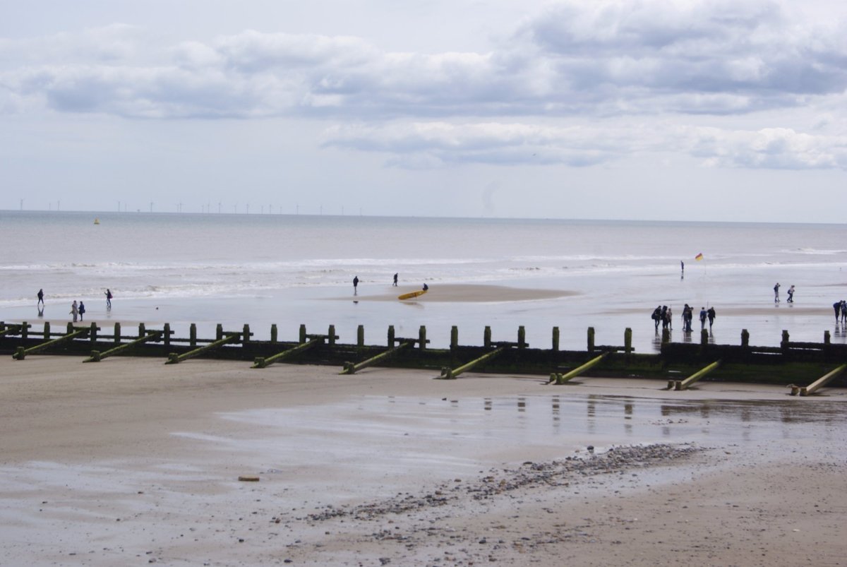 is hornsea beach dog friendly