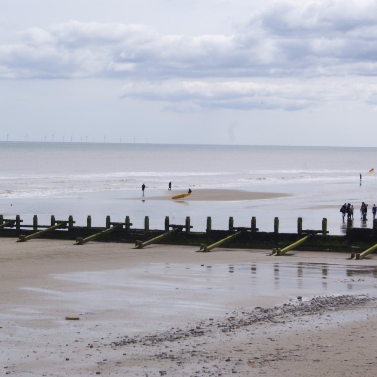 is hornsea beach dog friendly