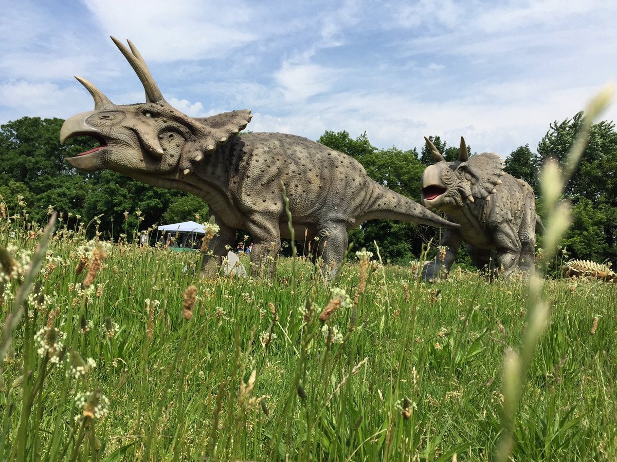 Events - NJ Field Station: Dinosaurs