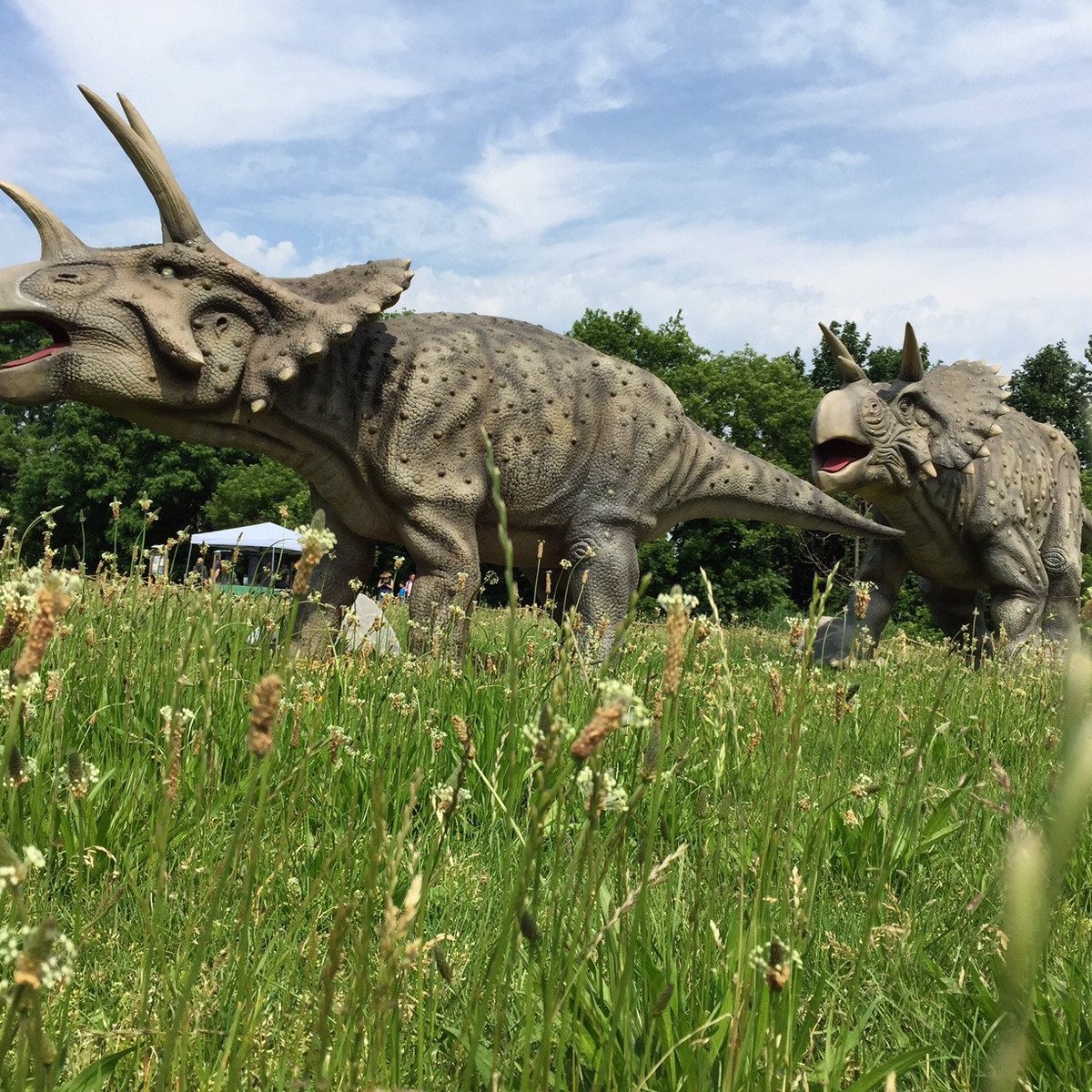 Events - NJ Field Station: Dinosaurs