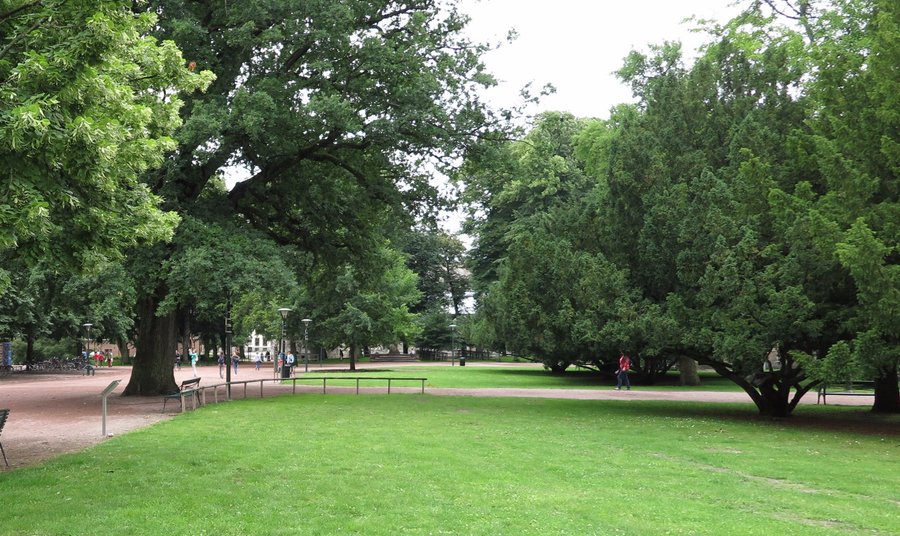 Vacker park med många stora träd och sköna gräsmattor