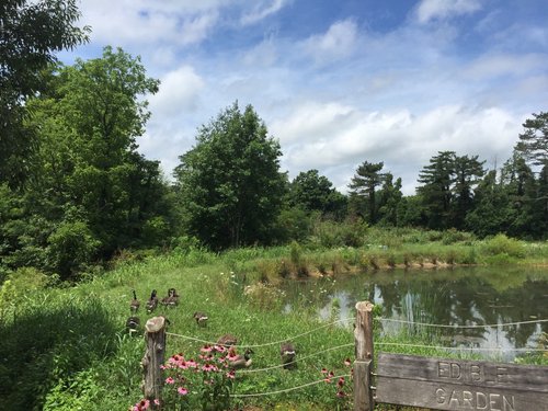 St. Paul District > American Wetlands Month > Fens