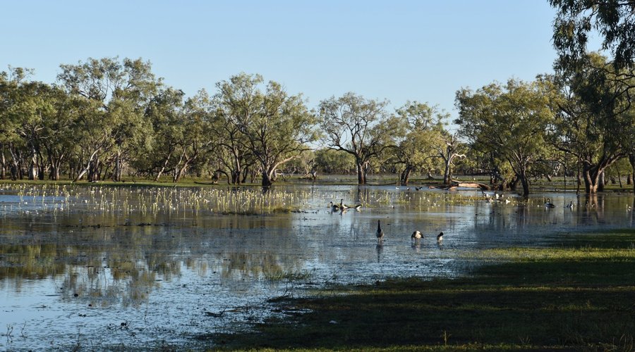 The lagoon in the morning