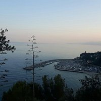 La Selva