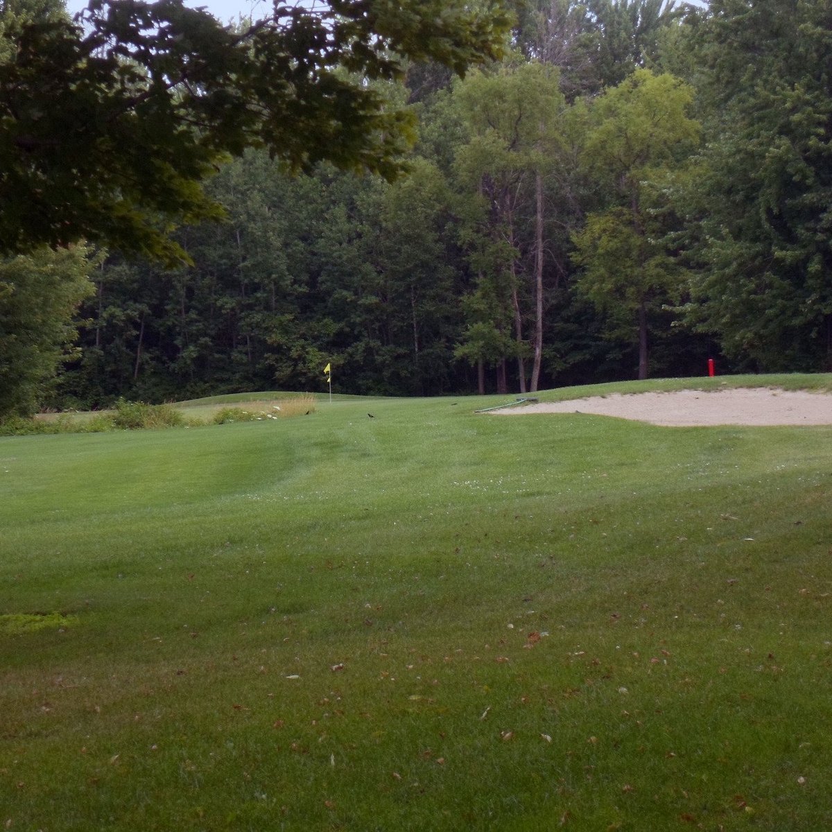 HIDDEN OAKS GOLF COURSE (Saint Louis) Ce qu'il faut savoir