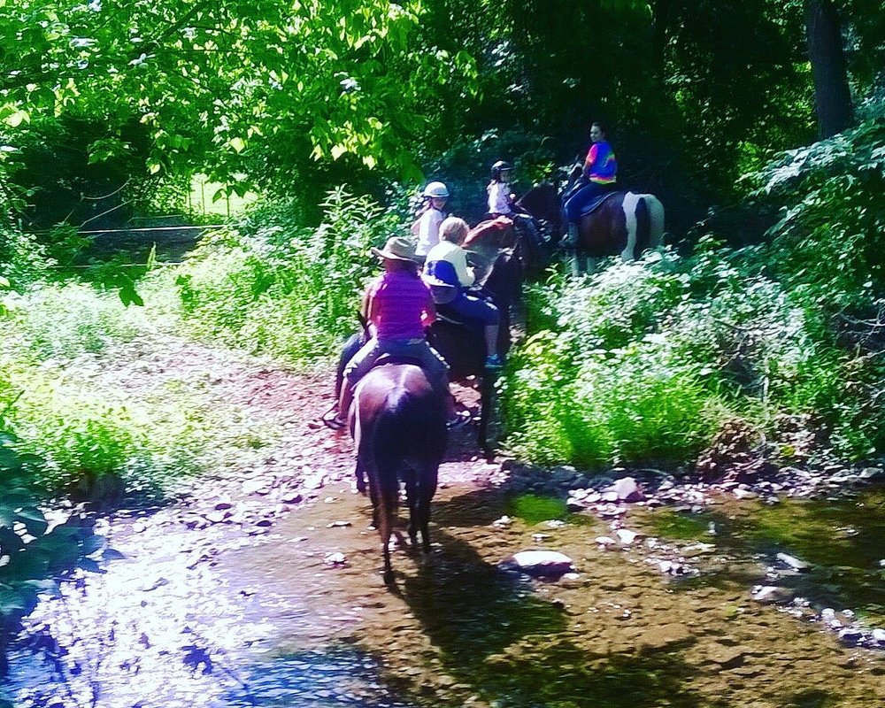 THE 10 BEST Virginia Horseback Riding Tours (with Photos)