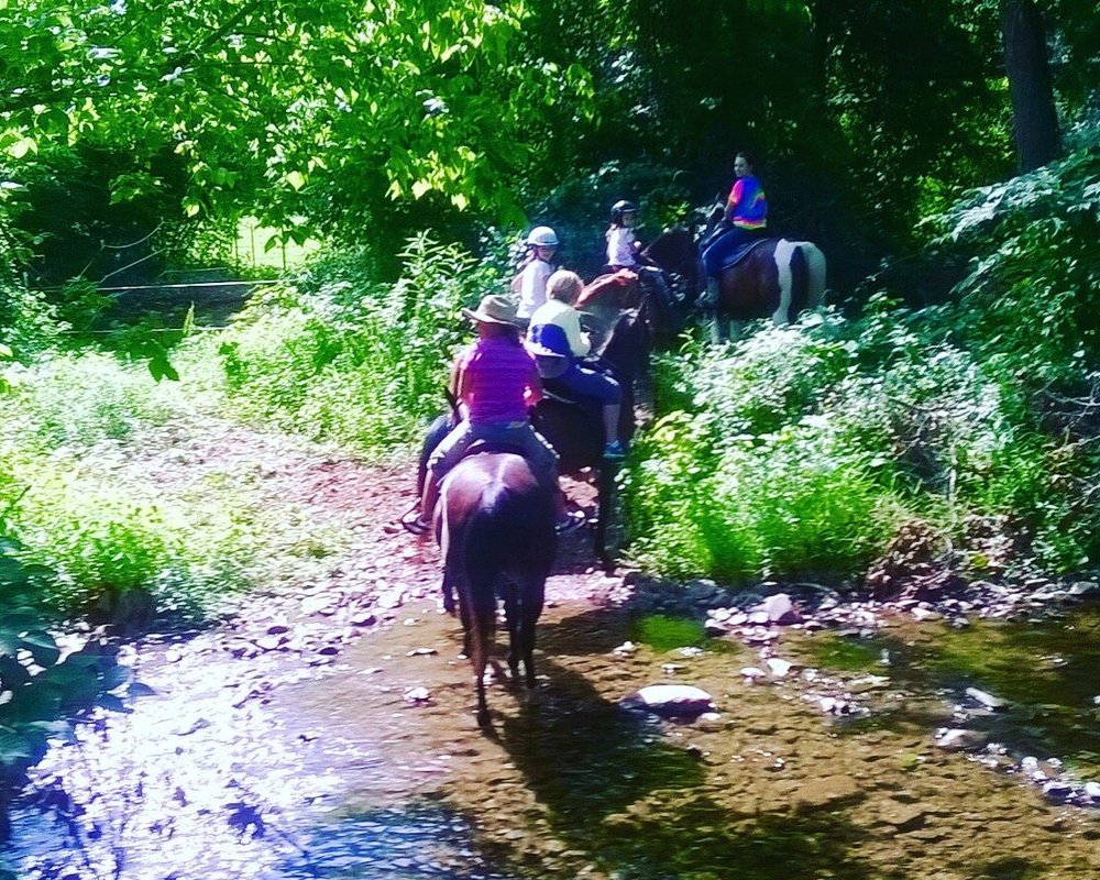 THE 10 BEST Virginia Horseback Riding Tours (with Photos)