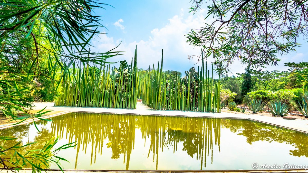 JARDÍN ETNOBOTÁNICO DE OAXACA OAXACA MEXICO