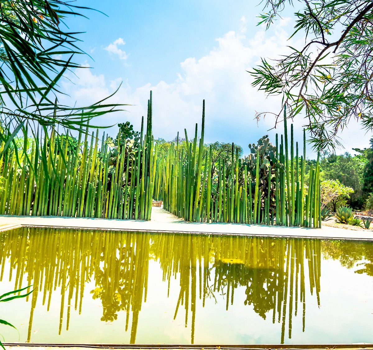 Jardin Etnobotanico de Oaxaca - All You Need to Know BEFORE You Go (2024)