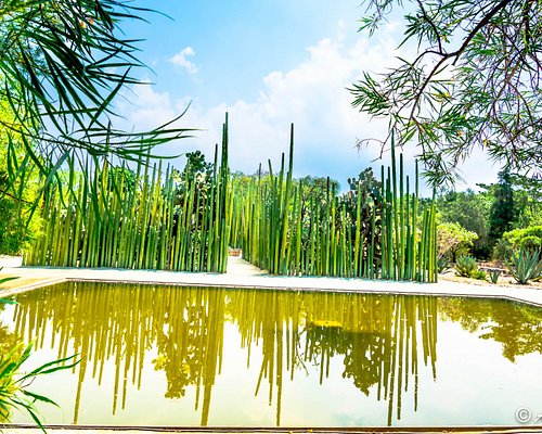 10 MEJORES parques y atracciones naturales de Oaxaca 10 MEJORES parques y atracciones naturales de Oaxaca