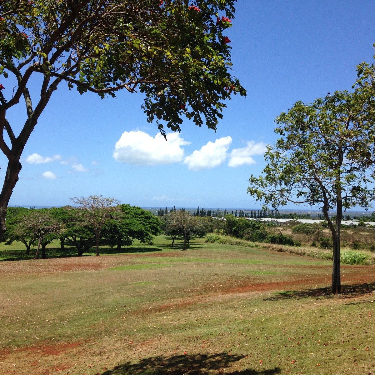 2025年 Central Oahu Regional Park - 出発前に知っておくべきことすべて - トリップアドバイザー